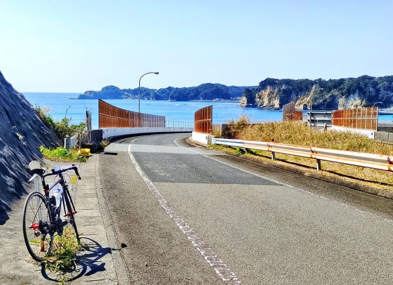 googlemap 自転車 表示されず