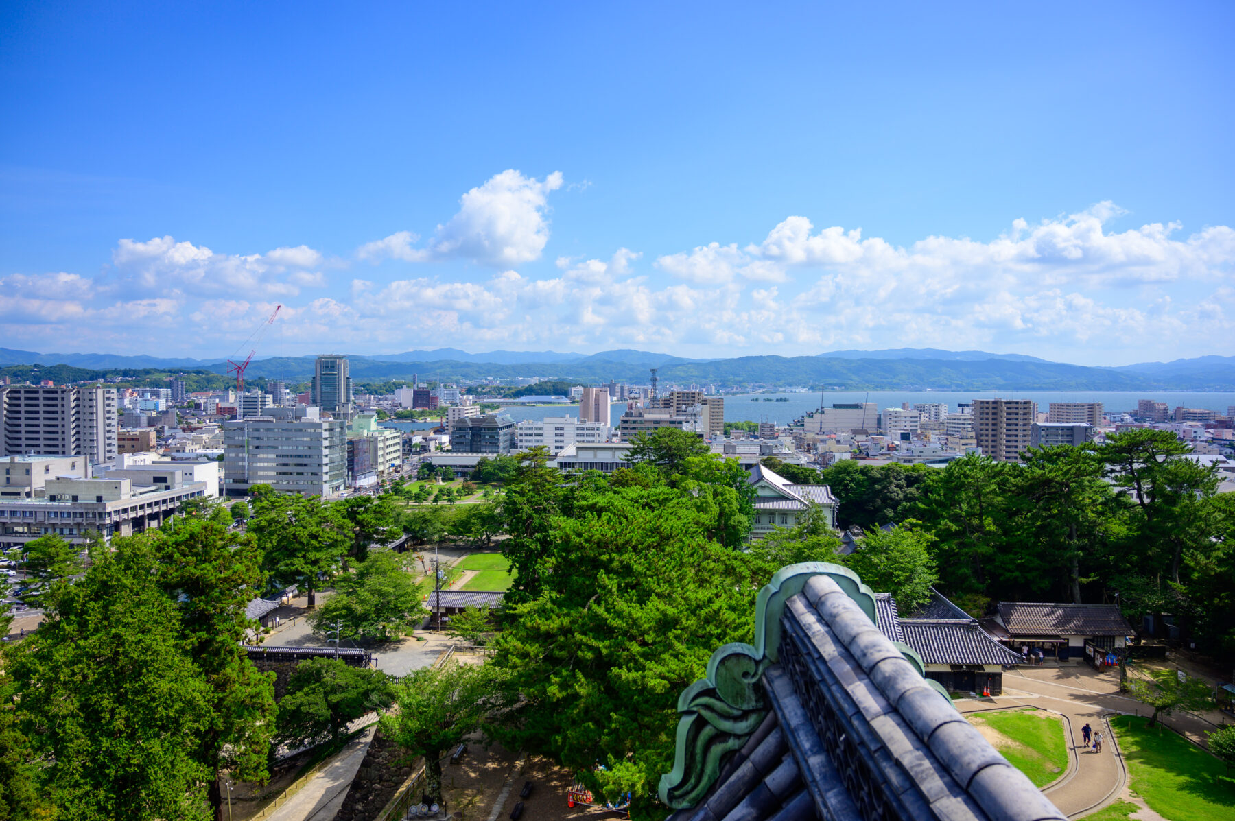 NIKON（ニコン）NIKKOR Z 24-70mm F4 S の購入レビュー。ズーム